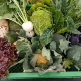複数の野菜を栽培する理由（中品目中量生産の考え）
